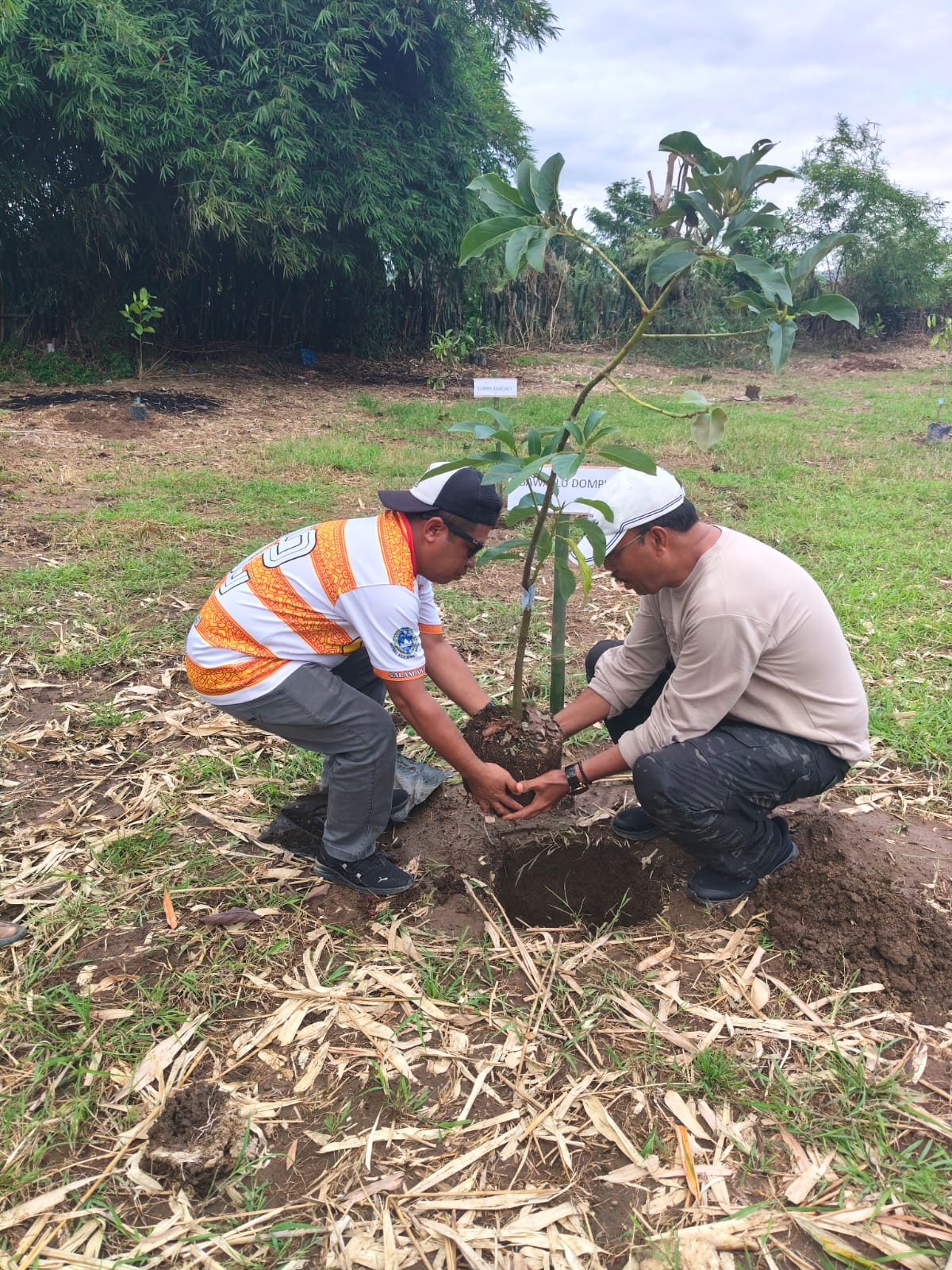 Bawaslu Dompu Hadiri Gerakan Penghijauan 1.000 Pohon dari Dorebara untuk Dompu Lestari